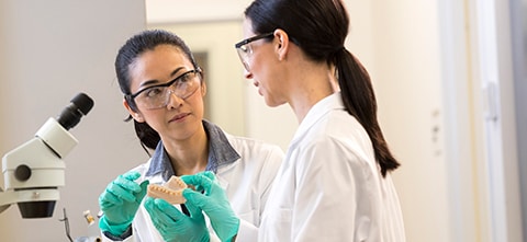 2 Dental Lab Technicians discussing a 3D Printed mold