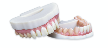 mouth and tooth 3D model